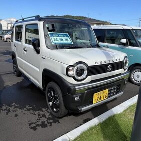 ハスラータフワイルド